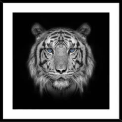 HTI-Line Wildlife Bild