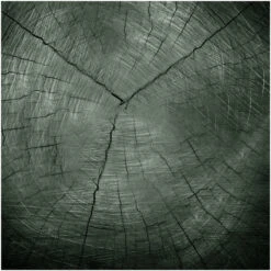 HTI-Line Tree Glasbild