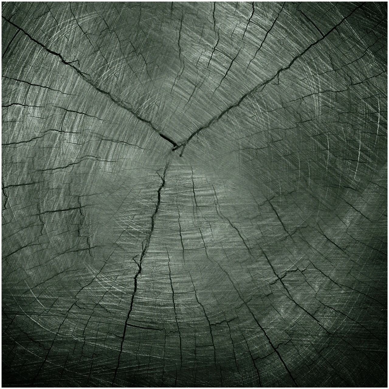 HTI-Line Tree Glasbild 3 HTI-Line Tree Glasbild